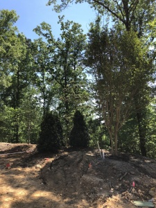 Outdoor-Living-Areas-00001