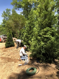 Outdoor-Living-Areas-00003