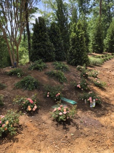 Outdoor-Living-Areas-00004