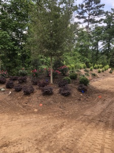 Outdoor-Living-Areas-00017