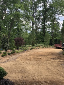 Outdoor-Living-Areas-00019