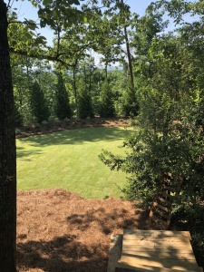 Outdoor-Living-Areas-00023