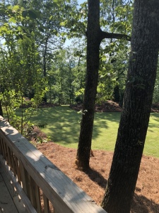 Outdoor-Living-Areas-00024