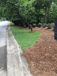 Outdoor-Living-Areas-00048