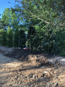 Outdoor-Living-Areas00053