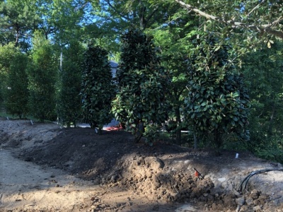 Outdoor-Living-Areas00053