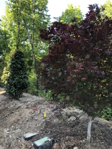 Outdoor-Living-Areas00054