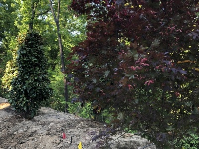 Outdoor-Living-Areas00054