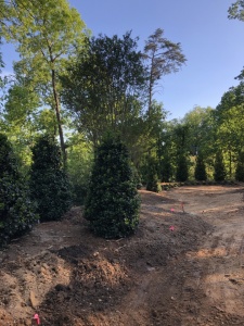 Outdoor-Living-Areas00055