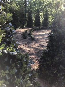 Outdoor-Living-Areas00057