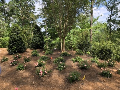 outdoor-living-areas-LS_2854