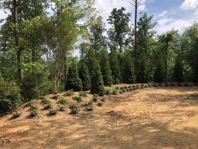 outdoor-living-areas-LS_2855