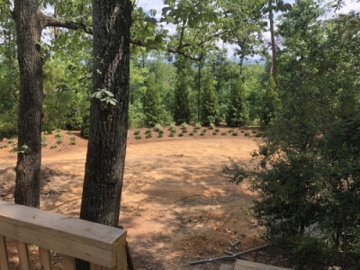 outdoor-living-areas-LS_2859