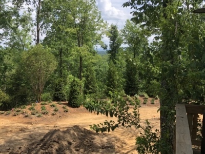 outdoor-living-areas-LS_2861