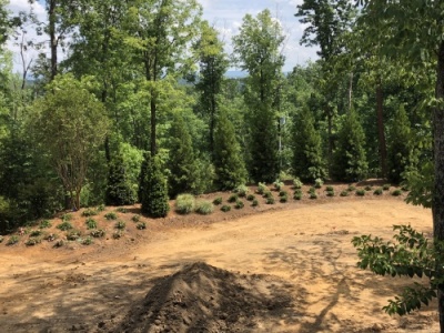 outdoor-living-areas-LS_2862