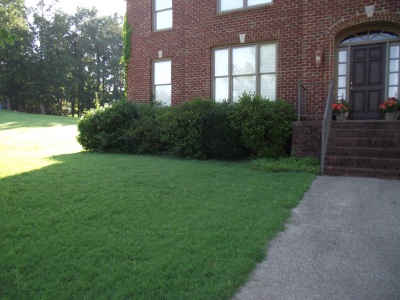 Outdoor-Living-Areas-Fikes-00005