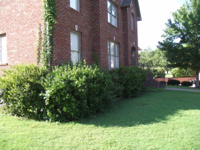 Outdoor-Living-Areas-Fikes-00006