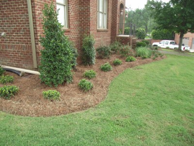 Outdoor-Living-Areas-Fikes-00021