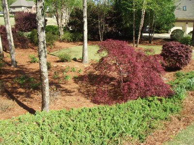 Outdoor-Living-Areas-Hauser-00004