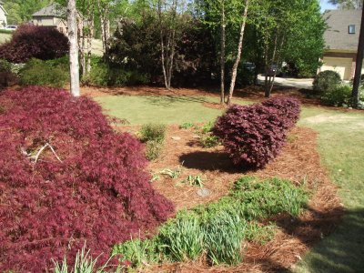Outdoor-Living-Areas-Hauser-00005